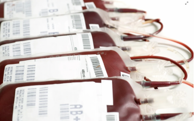 Imonomodulação causada pela transfusão de sangue